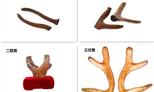 牛皮鲜会痒吗-牛皮鲜变好的症状网-分享牛皮鲜有哪些常见症状，牛皮鲜可以根治吗知识库