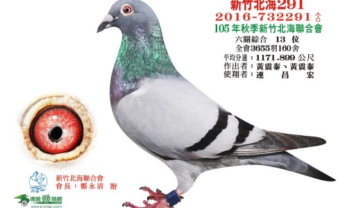 牛皮鲜用什么药好得快-牛皮鲜变好的症状网-分享牛皮鲜有哪些常见症状，牛皮鲜可以根治吗知识库